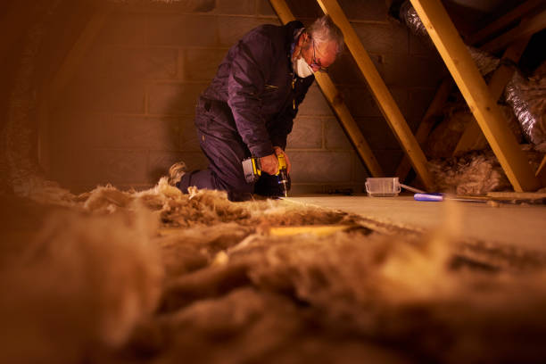 Insulation Inspection Services in Eleanor, WV